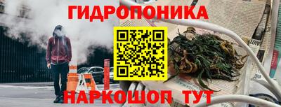 крисы Мариинск