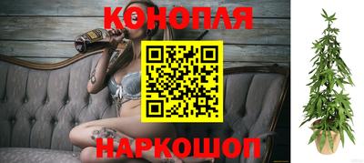 крисы Мариинск