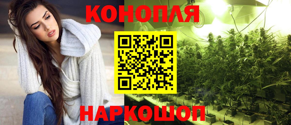 Бошки Шишки OG Kush Новодвинск
